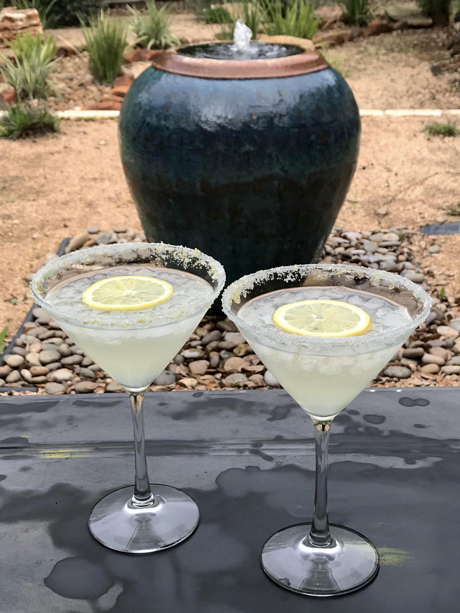 How To Make The Best Mouthpuckering Lemon Drop Martini Ever Wine With Lisa,Azalea Bush Care